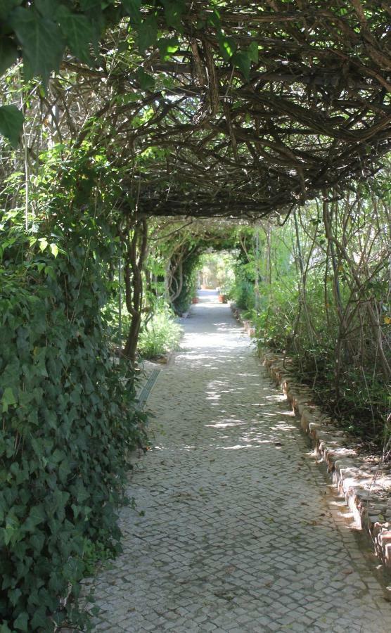 Canavial Garden (Adults Only) Lagos Ngoại thất bức ảnh
